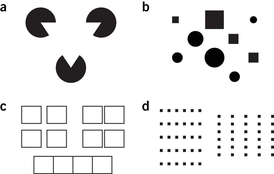 Gestalt Rules